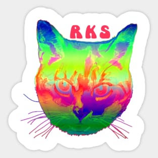 rainbow kitten 4 Sticker